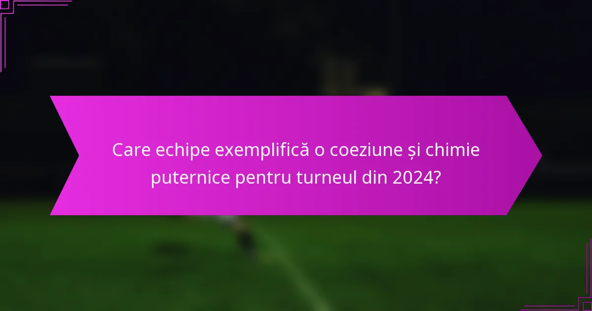 Care echipe exemplifică o coeziune și chimie puternice pentru turneul din 2024?