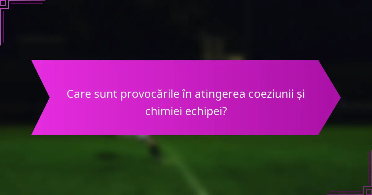 Care sunt provocările în atingerea coeziunii și chimiei echipei?