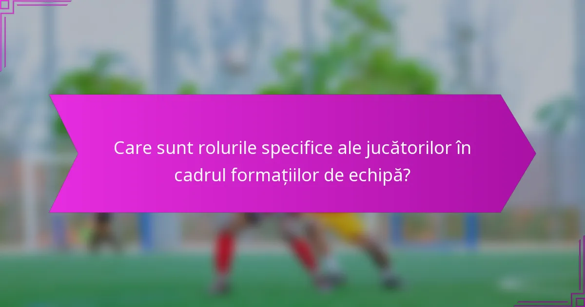 Care sunt rolurile specifice ale jucătorilor în cadrul formațiilor de echipă?